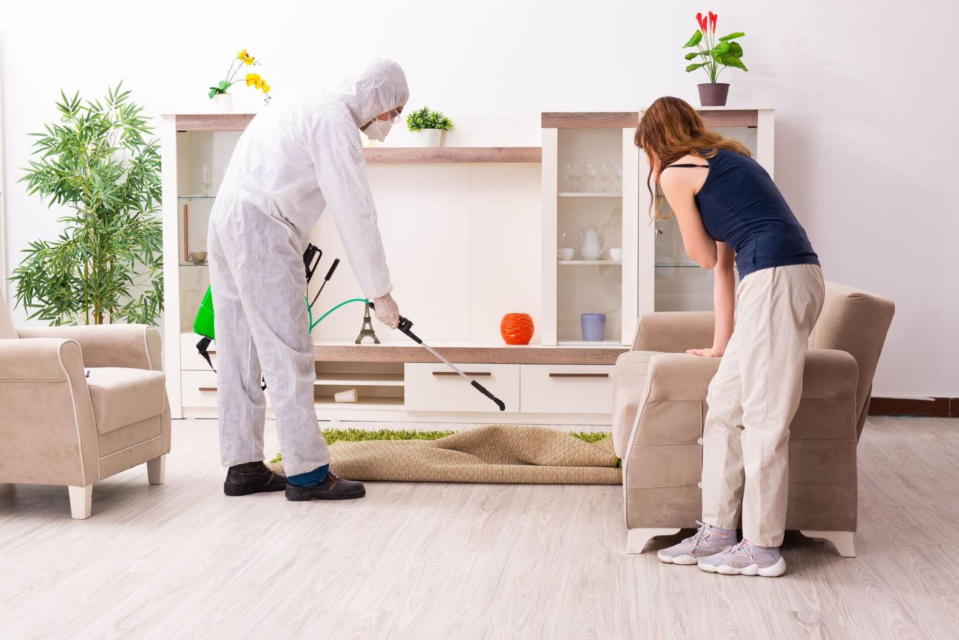 Cleaner and/or exterminator using chemicals in a living room.