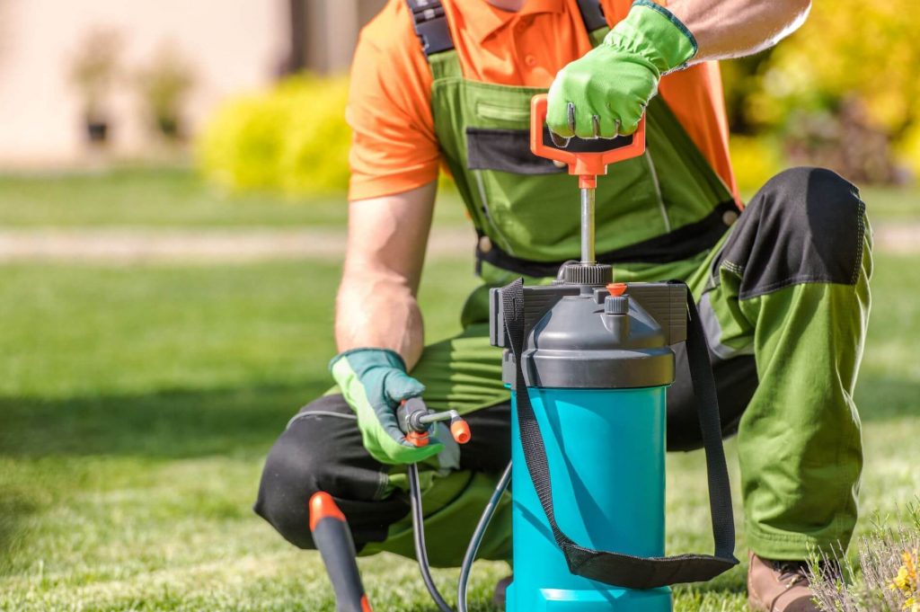 Person using chemical spray against pests and weeds on a lawn.