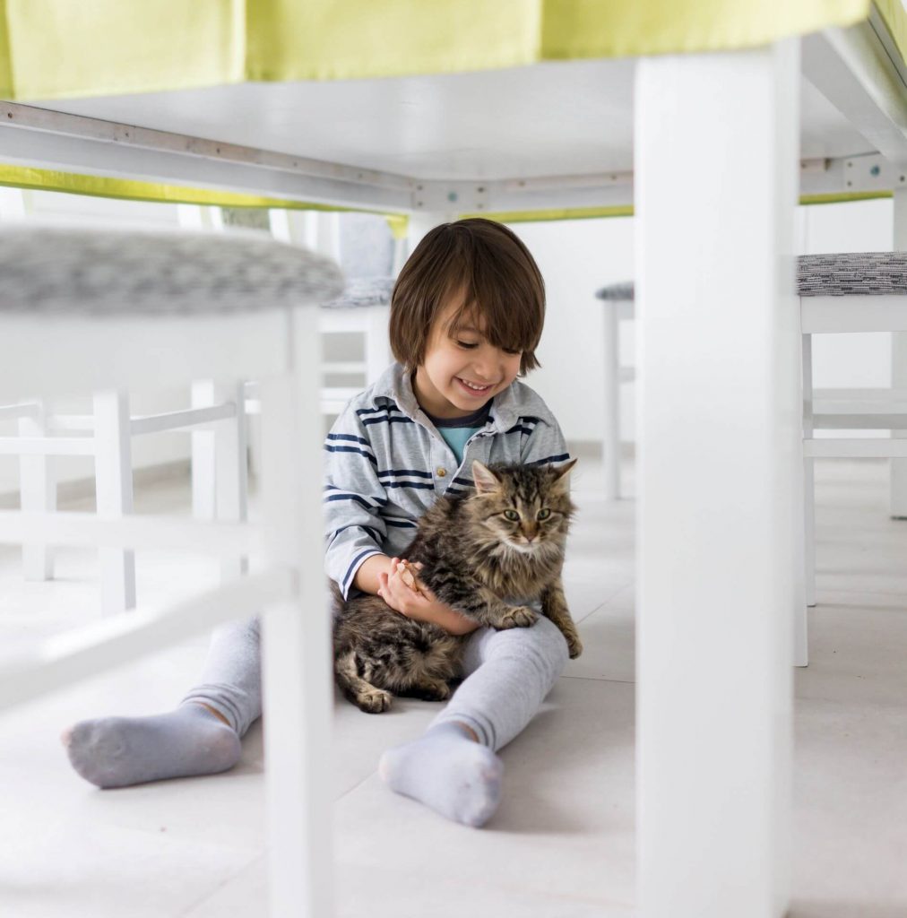 Child playing with cat under a dining room table.