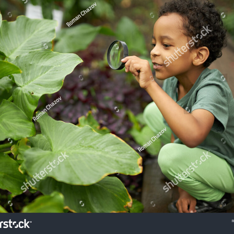 stock-photo-little-african-american-kid-boy-look-at-plant-using-magnifier-want-to-know-about-nature-everything-1841045359
